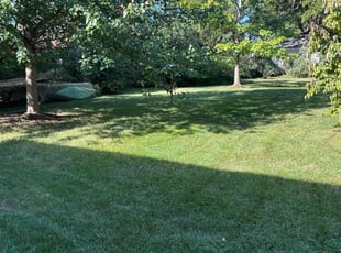 Jasmine M.'s lawn care service result