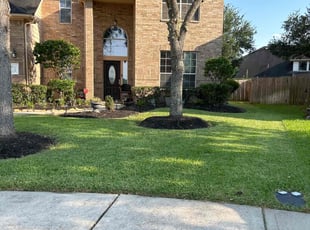 Mike C.'s grass maintenance service result