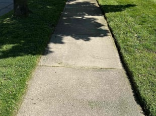 Linda H.'s turf care service result