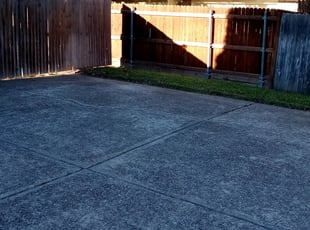 Ken M.'s Leaf Removal service result