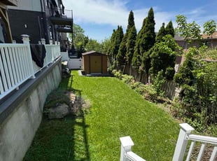 Shawanna W.'s lawn care service result