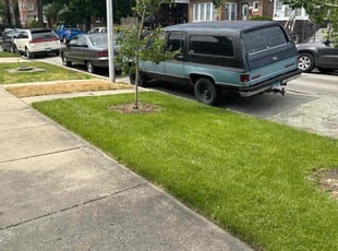 Kristen S.'s lawn maintenance service result