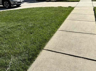 Erlinda S.'s lawn care services service result