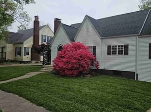Jazmene R.'s lawn care services service result
