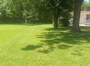 Melissa T.'s grass cutting service result
