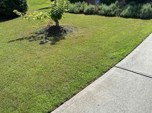 Larika P.'s lawn service service result
