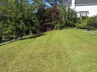 Raven R.'s grass maintenance service result
