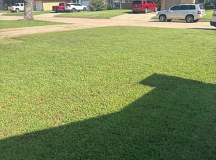 Denise B.'s lawn service service result