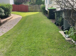 Patricia R.'s lawn maintenance service result