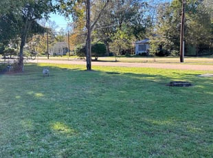 Terry N.'s lawn care services service result