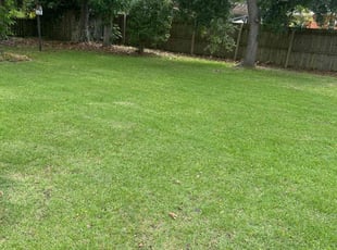 Octavia H.'s turf maintenance service result