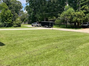 Michael P.'s turf care service result