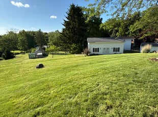 Whitney T.'s lawn service service result