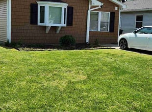 Joseph J.'s lawn care service result