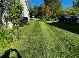 Jeff p.'s lawn care service result
