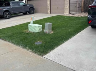 Wayne G.'s lawn care service result