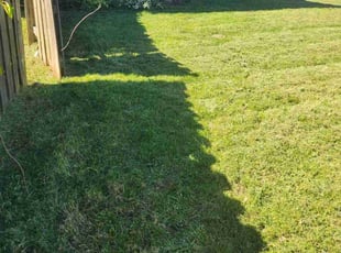 Sharon D.'s grass maintenance service result