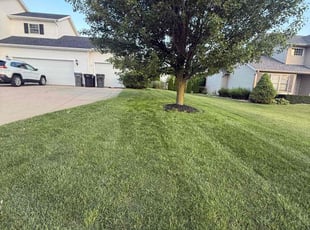 Chris Y.'s lawn service service result