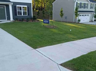 Jennilea H.'s lawn maintenance service result