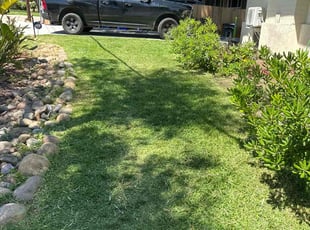 Aaron S.'s lawn care service result