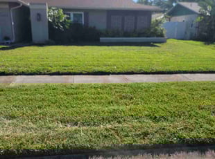 Janice C.'s grass maintenance service result