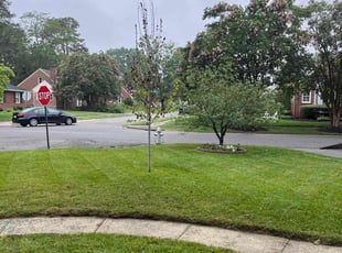 Fadelia L.'s lawn care services service result