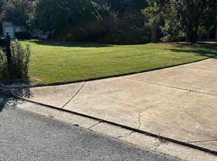 Muriel V.'s turf maintenance service result