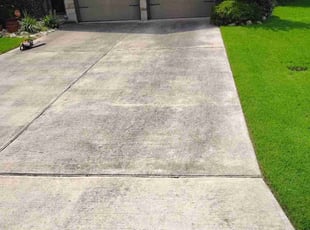 Veronica N.'s lawn service service result