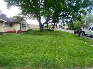 Faith P.'s lawn care services service result