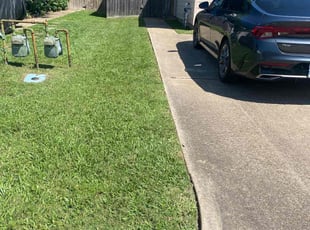 Yang S.'s lawn maintenance service result