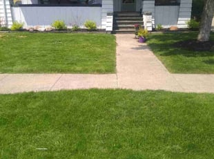 Pam Y.'s lawn care service result