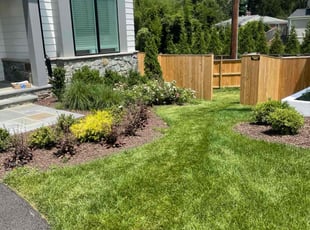Annette C.'s turf care service result