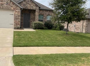 Robin G.'s turf care service result