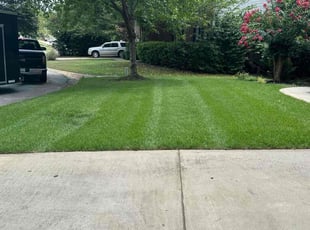 Andrew G.'s grass cutting service result
