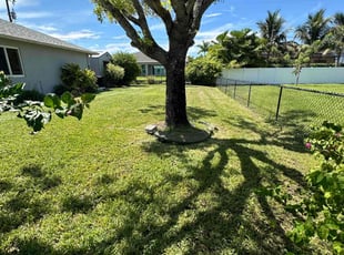Rebecca M.'s grass cutting service result