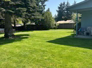 Sharon T.'s turf care service result