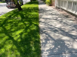 Pamela H.'s grass maintenance service result