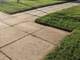 Mariah r.'s lawn maintenance service result