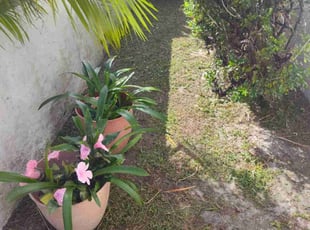 John S.'s lawn care services service result