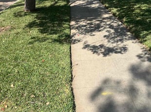 Monique A.'s lawn service service result
