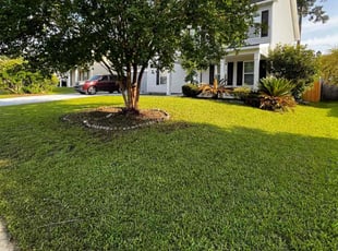Judith Y.'s turf care service result