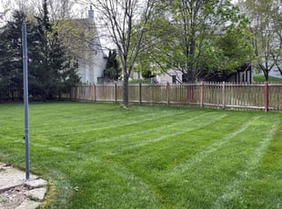 Olivia L.'s turf care service result