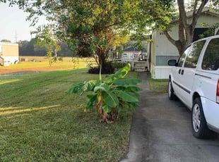 Rick T.'s grass maintenance service result