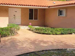 Ruth G.'s Bush Trimming service result