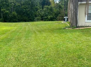 Larry R.'s landscape maintenance service result