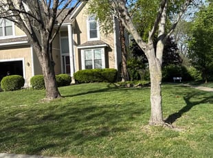 Lauren C.'s lawn service service result