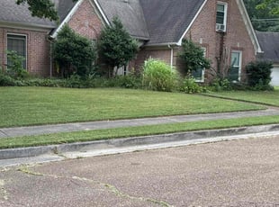 Edward S.'s lawn service service result