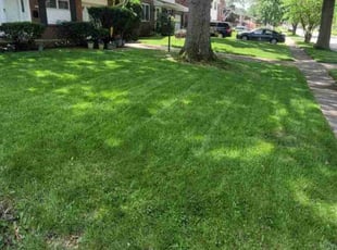 John V.'s turf maintenance service result