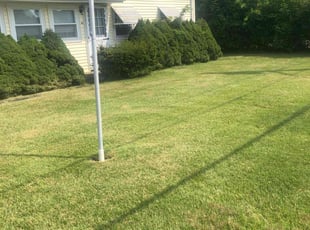 Brittany S.'s grass maintenance service result