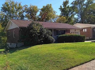 Damonae O.'s lawn care services service result